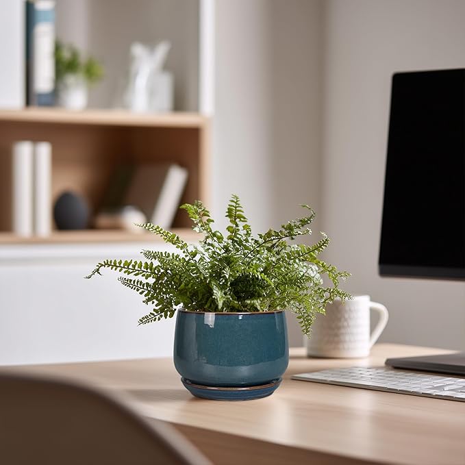 G EPGardening Ceramic Pots for Plants - 4 inch Plant Pots for Indoor Outdoor, Small Planter with Drainage Hole & Tray, Modern Succulent Pots, Round Planter, Office Decor, Home Gifts, Retro Blue