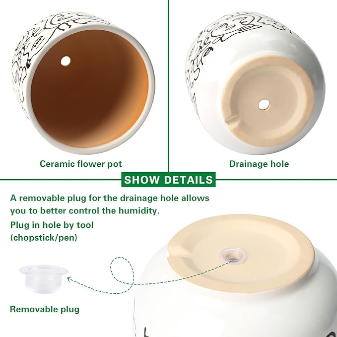 Docrin Plant Pots Indoor with Drainage : 6.6+5.4 Inch Ceramic Flower Pots for Plants - Set of 2 Modern Decorative Face Planters for House/Office/Gift - /Black and White