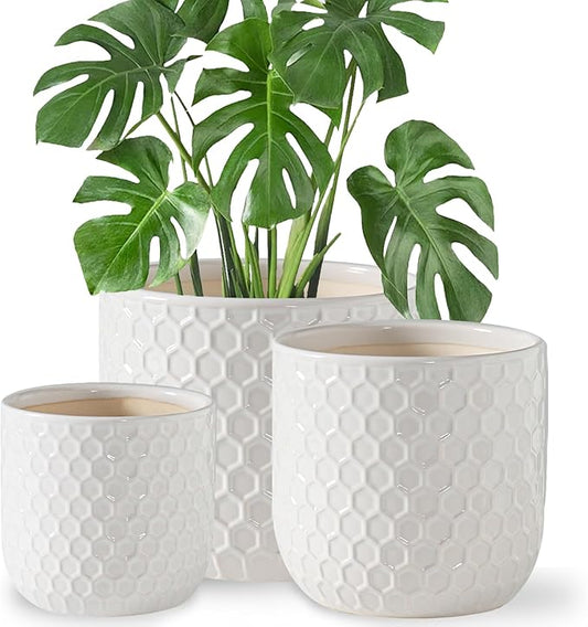 Docrin Ceramic Plant Pots Indoor: 6.5+5.3+4 Inch Planters with Drainage Holes for Home/Office - Set of 3 / White Honeycomb