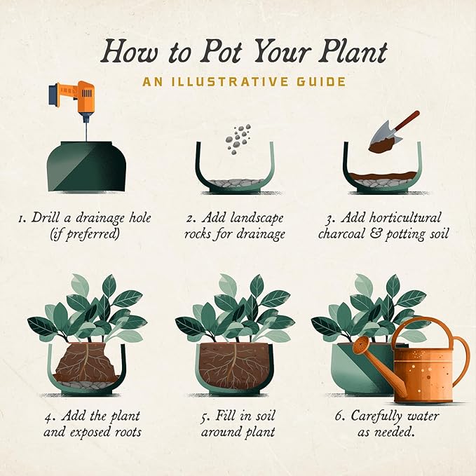 ARBORA 21" Santorini Bowl 2-Pack with Classic Cream Finish - Polyresin Indoor and Outdoor Planter2, Durable, Weatherproof, Lightweight, Large Plant Pots for Patio, Garden, Deck, Entryway