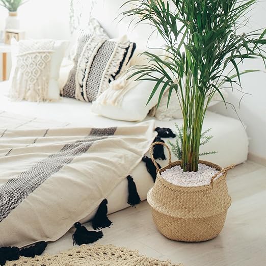 5 lbs White Pebbles for Vases, 3/8" Small Plant Rocks for Pots Indoor, Decorative Pea Gravel for Succulents, Bamboo, Terrarium, Landscape, Garden