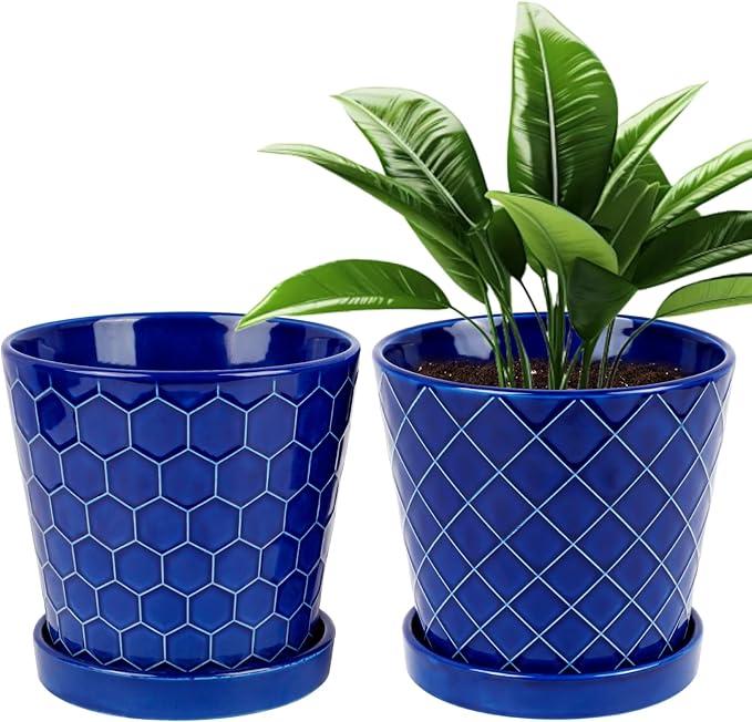 BUYMAX Plant Pots Indoor –6 inch Ceramic Flower Pot with Drainage Hole and Ceramic Tray - Gardening Home Desktop Office Windowsill Decoration Gift, Set of 2(Royal Blue)