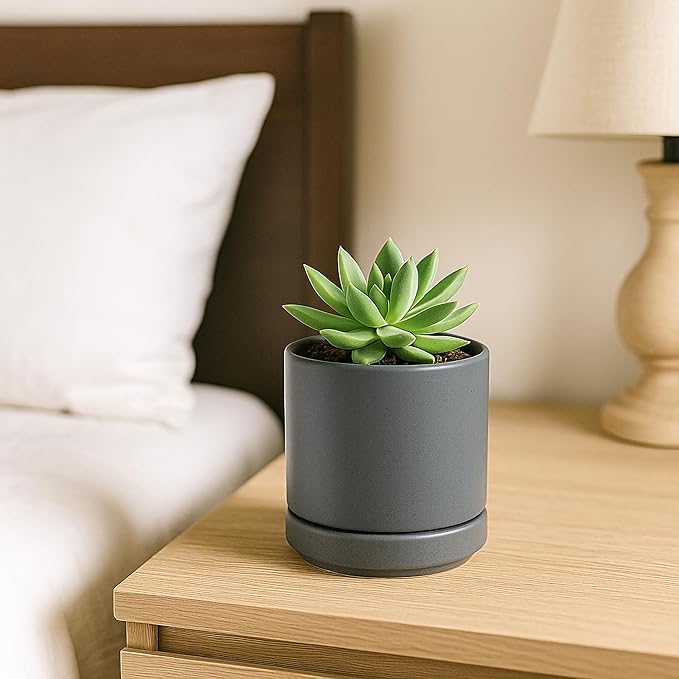 D'vine Dev Set of 4 Small Ceramic Plant Pots, 3.5 Inch Succulent Planter Pot for Plants with Drainage Hole and Saucer, Grey, 94-X-A-3