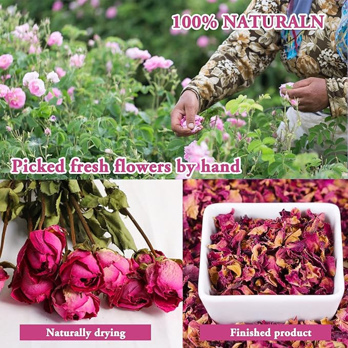 SACATR Dried Flowers, 50 Bags 100% Natural Dried Herbs Kit for Soap Making, Candle, Resin Jewelry Making, Bath, Nail - Include Rose Petals, Rosebuds, Lilium, Jasmine, Don't Forget Me and More
