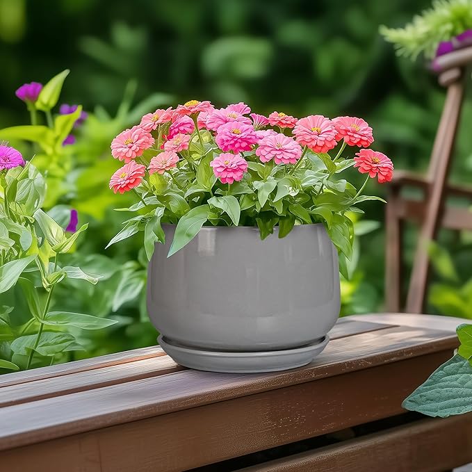 G EPGardening Ceramic Pot for Plants - Modern 6 Inch Round Planter Indoor with Drainage and Tray for Indoor Outdoor Flower, Patio Decor, Teacher Gifts, Grey