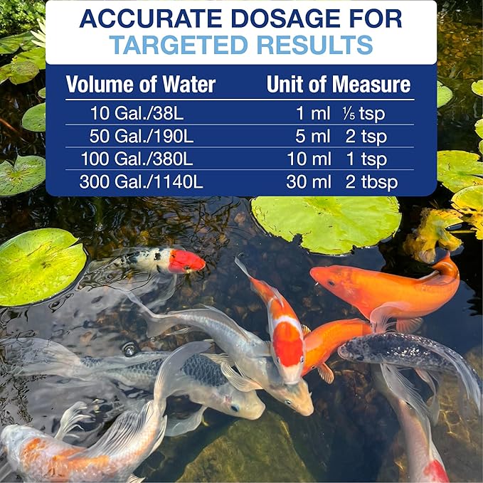 Aquascape Algaecide for Ponds, Waterfalls, and Fountains – Large-Scale Algae Control, 2.5 Gallons / 9.46 L, 96053
