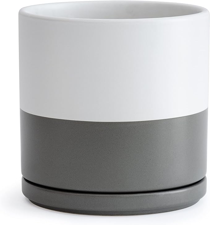 D'vine Dev 10 Inch Ceramic Planter Pot with Drainage Hole and Saucer, Indoor Cylinder Round Planter Pot, White/Speckled Grey, 94-O-E-6
