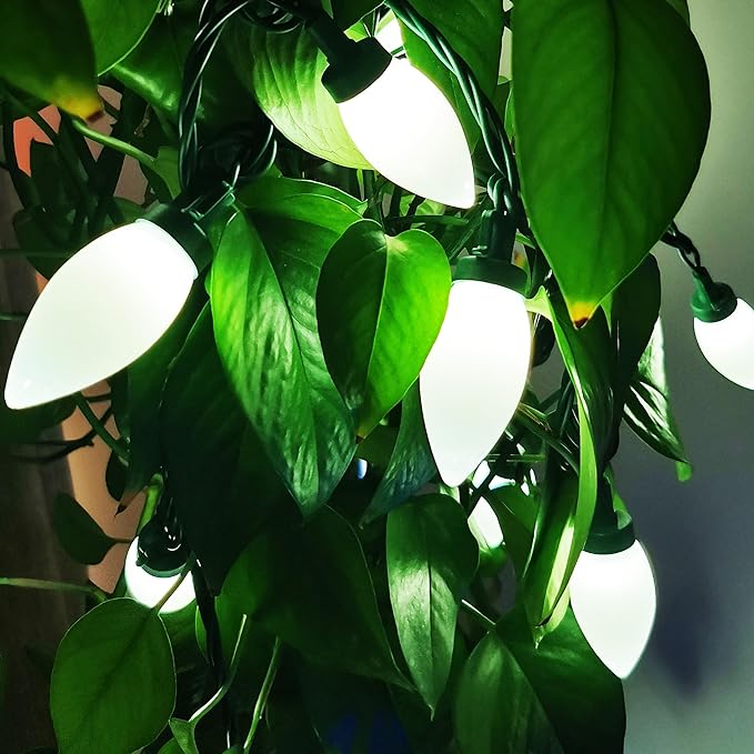 C9 Christmas Lights Outdoor 50 LED Cool White Strawberry 34.5ft Waterproof Xmas String Light for Garden Yard Home Party Holiday Christmas Tree Indoor Decoration(Cool White)