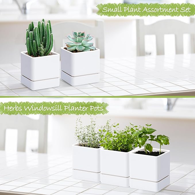 4 Inch Herb Planter Pot, Plastic Planter with Drainage Holes and Saucer, Modern Decorative Gardening Pot for Indoor Plants, Flowers, Herbs, Succulents, White, Set of 3, 76-Y-A-3