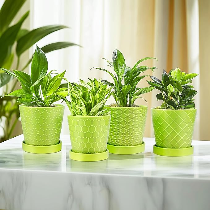 EFISPSS 5 Inch Ceramic Plant Pots Indoor, Planters with Drainage Holes and Ceramic Tray, Relief Design Flower Planter，Desktop Office Windowsill Decoration Gift Set of 4 - Green