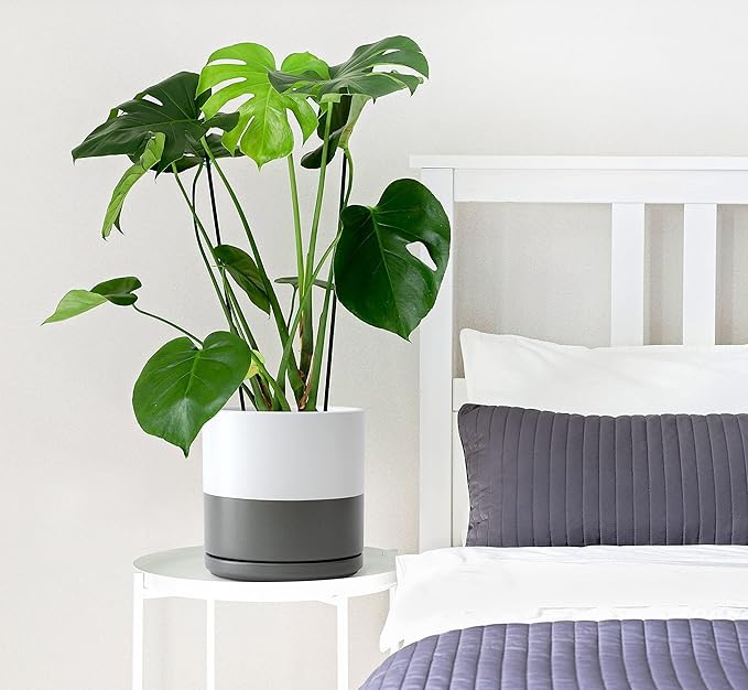 D'vine Dev 10 Inch Ceramic Planter Pot with Drainage Hole and Saucer, Indoor Cylinder Round Planter Pot, White/Speckled Grey, 94-O-E-6