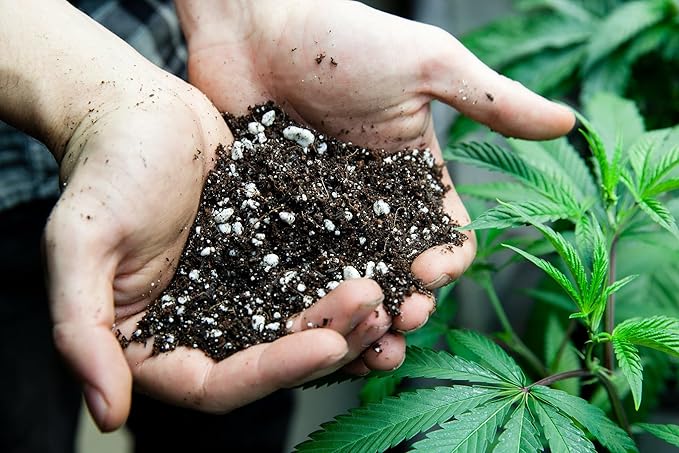 Premium Happy Plant Potting Soil Mix - Optimal Nutrient-Rich Blend for Thriving and HIGH-Yield Herbal Plants - 4 Quart