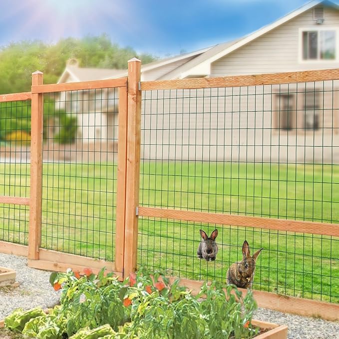 Green PVC Coated Welded Wire Fence 48 Inch x 50 Foot, 2 Inch x 4 Inch 14GA, Garden Border Fencing Roll Vinyl Coating Metal Wire Mesh Hardware Cloth for Yard Vegetable Plant Protection