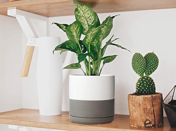 D'vine Dev 4.6 Inch & 6 Inch Ceramic Planter Pots for Plants with Drainage Hole and Saucer, Small Plant Pots Set, White/Speckled Grey, 94-G-S-6