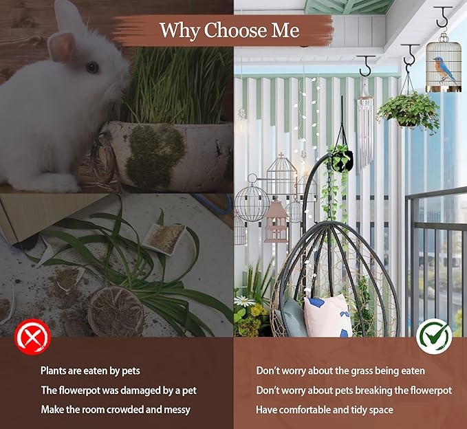 Ceiling Hooks for Hanging Plants 4Pack 2.5in,Wall Mount Hangers Plant Hooks,Wall Hooks for Plants,Lights,Planters,Lanterns,Hanging Bird Feeders,Wind Chimes,indoor&Outdoor Decoration Hooks Black