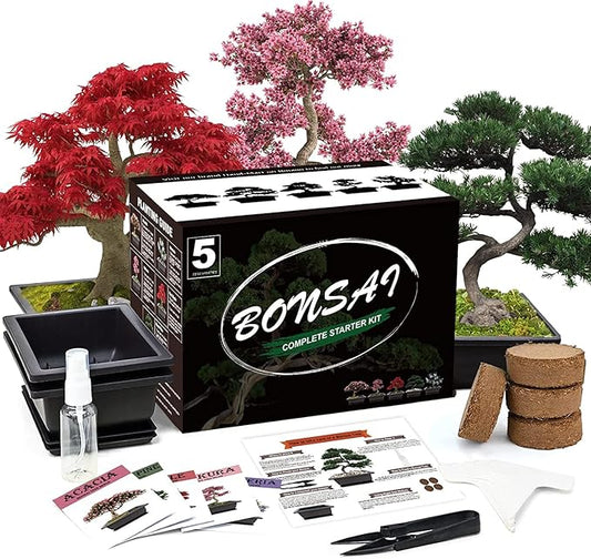 5 Bonsai Tree Kit Complete Plant Growing Tools, Grow in Pot Indoor Bonsai Tree Starter Kit, Great Home Gardening Potted Plants DIY Gift for Adults