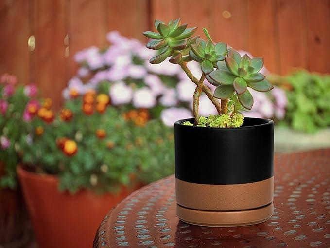 D'vine Dev Set of 2 Plants Pots, 4.6 Inch Ceramic Planter Pot for Plants with Drainage Hole and Saucer, Black/Speckled Tan, 94-V-B-7