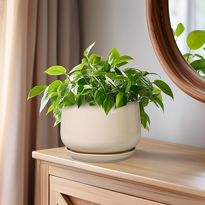 G EPGardening Ceramic Pot for Plants - 6 Inch Planter with Drainage and Ceramic Saucer, Flower Pots for Indoor Plants, Modern Outdoor Planter, Home Decor, Gift for Women Men, Beige