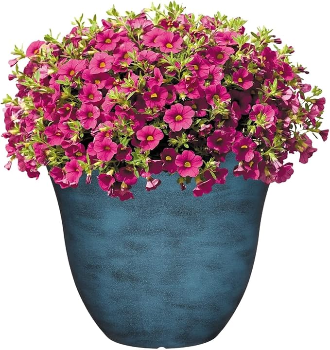 Classic Home and Garden Honeysuckle Resin Flower Pot Planter, Blue Jean, 13"