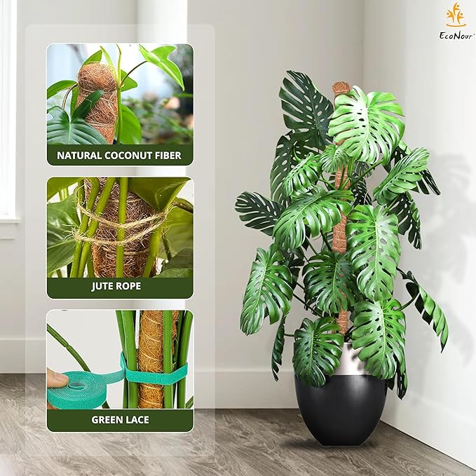 EcoNour Moss Pole for Plants – 48 inches | Monstera Plant Support for Plant Climbing and Growth | Elevate Your Indoor Garden, Plant Support for Indoor Potted Plants to Grow Upwards