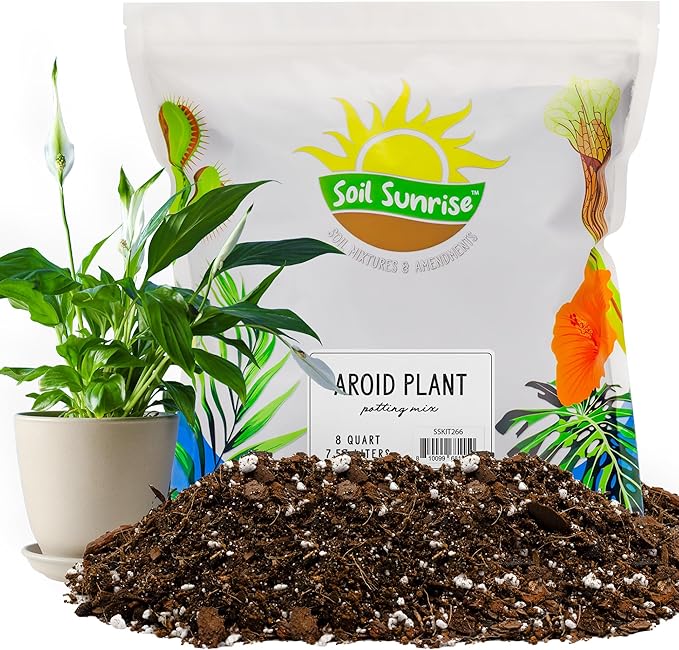 Aroid Plant Potting Soil Mix (8 Quarts), for Pothos Devil's Ivy, ZZ Plant, Chinese Evergreen, Dumb Cane, Philodendron, Syngonium, Alocasia, Colocasia Etc.