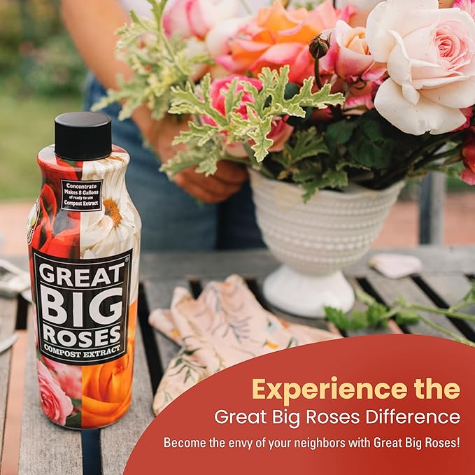 Great Big Roses – Soil and Rose Fertilizer Booster to Grow The Best Roses and Flowers; Rose Food Compost Extract for Rose Bush, 32 Ounce Concentrate (Makes 8 Gallons)