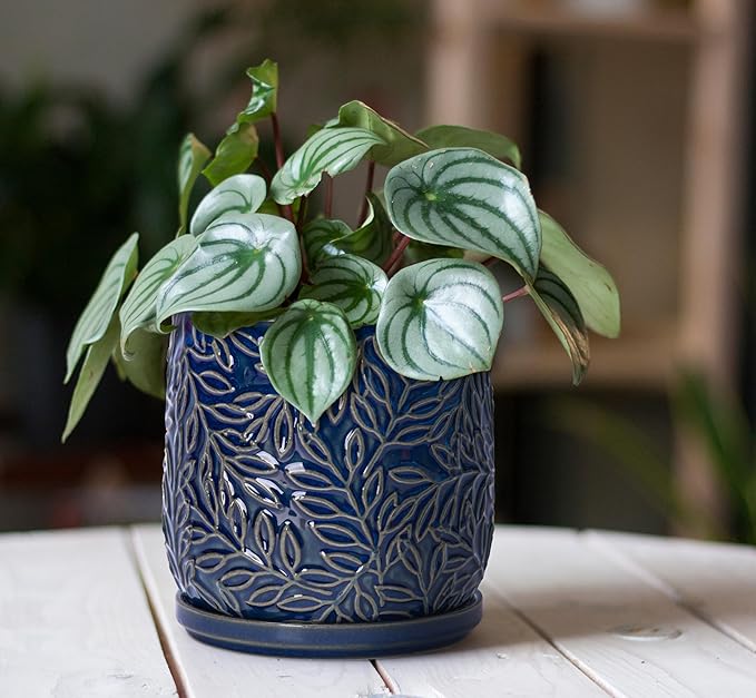 D'vine Dev 5 Inch Embossed Leaves Stoneware Planter Pot with Drainage Hole and Saucer, Midnight Blue, 27-A-V-3