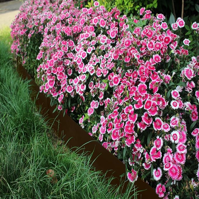 40" L x 6" H Metal Landscape Edging, Heavy Duty Galvanized Steel Garden Edging,6 Pack Steel Landscape Edging with Clips for Lawn, Flower Bed, Yard (Brown)