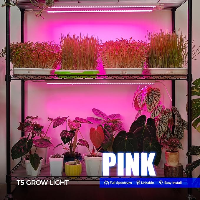 Barrina T5 Grow Lights, Full Spectrum, 2ft 80W (8 x 10W, 500W Equivalent), LED Grow Light Bulbs, Plant Lights for Indoor Plants, Greenhouse, Plug and Play, Pink, 8-Pack