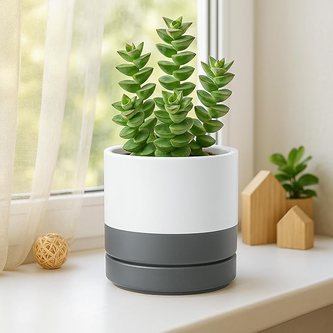 D'vine Dev 3.5 Inch & 4.7 Inch Ceramic Planter Pots for Plants with Drainage Hole and Saucer, X-Small Plant Pots Set, White/Speckled Grey, 94-G-XS-6