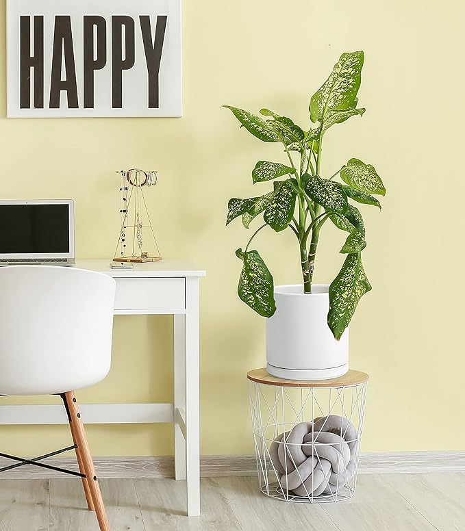 D'vine Dev Set of 2 Plants Pots, 10 Inch Ceramic Planter Pot for Plants with Drainage Hole and Saucer, White, 94-V-E-1