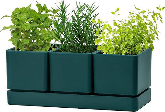 D'vine Dev Herb Garden Planter Set, Plastic Plant Pots with Drainage and Saucer, Indoor Succulent Cactus Vegetable Pot for Windowsill, Garden Balcony, Green, Set of 1, 76-V-C-1