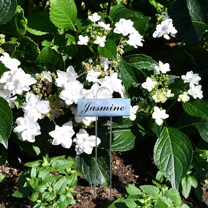 50 Pack Metal Plant Labels for Outdoor Garden Waterproof Plant Markers, Labels Garden Markers for Seedlings Herbs Vegetable Greenhouse Gifts, with Pen