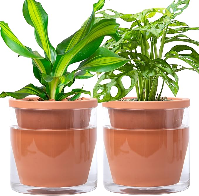 D'vine Dev 6 Inch Design Self Watering Pot for Indoor Plants, Terracotta Planter with Cylinder Glass Cup, Set of 2, 37-X-B-2