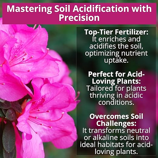 8-4-8 Acidic Fertilizer for Azaleas, Camellias (Camelia), Hydrangeas, Blueberries, Gardenias, Magnolia Trees, Evergreens, and Rhododendrons - Ideal Iron-Rich Plant Food (5 QUARTS)