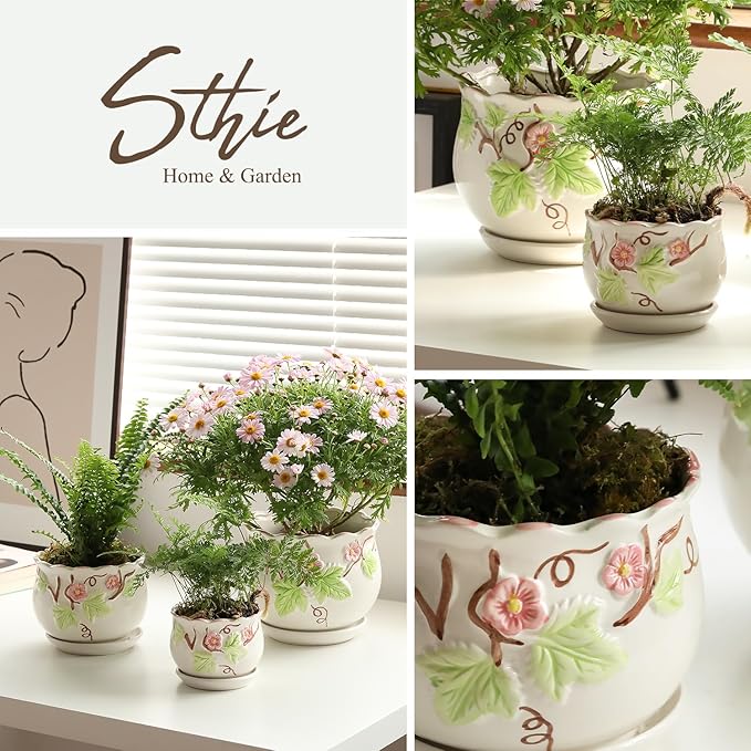 Ceramic Plant Pots with Drainage Holes and Saucers, Round Flower Pots for Indoor Plant, 3.9/5.2/6.7 Inches Small Flower Planters Set of 3