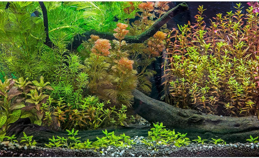 Aquarium Backdrop Underwater Grass Leaves with Pebbles Exquisite Aquarium Background Vivid Green Aquatic Plant Stone River Bed Fish Dead Wood Fresh Leaves Tank Background Decors Vinyl 72x18in