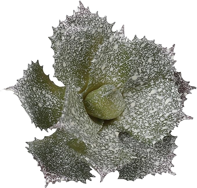 Duovlo Artificial Succulent Plant 5.15 Inch Faux Succulents Agave potatorum Flower Arrangement Craft Wall DIY Materials,Pack of 2 (New Green)