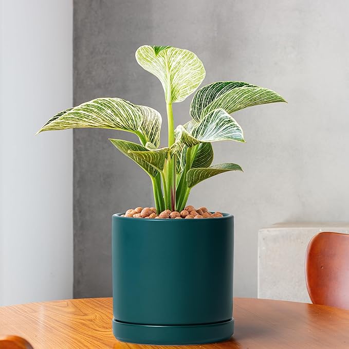 D'vine Dev 4.6 Inch & 6 Inch Ceramic Planter Pots for Plants with Drainage Hole and Saucer, Small Plant Pots Set, Teal, 94-G-S-9