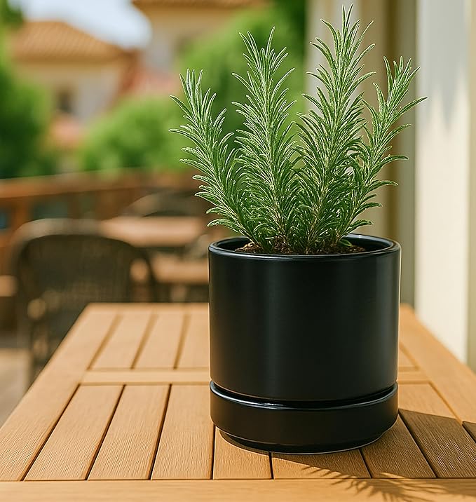 D'vine Dev 3.5 Inch & 4.7 Inch Ceramic Planter Pots for Plants with Drainage Hole and Saucer, X-Small Plant Pots Set, Black, 94-G-XS-2