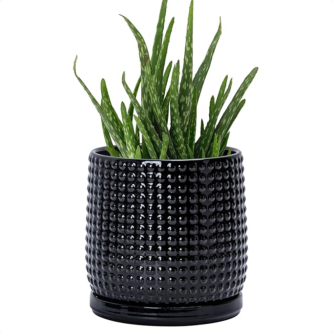 D'vine Dev 6 Inch Ceramic Beaded Stoneware Planter Pot - Flower Pot with Drainage Holes and Saucers for Indoor Succulent Plants or Flowers, Glossy Black, 27-C-X-2