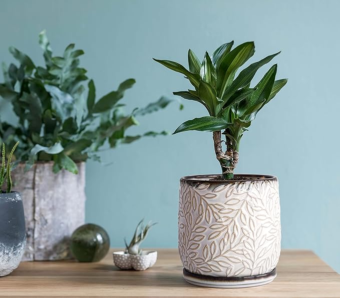 D'vine Dev 5 Inch Embossed Leaves Stoneware Planter Pot with Drainage Hole and Saucer, Smoked White, Set of 1, 27-A-V-1