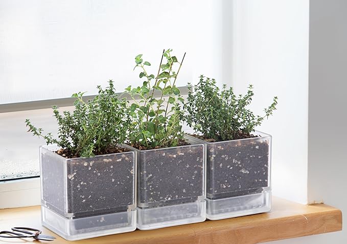 4 Inch Herb Planter Pot, Plastic Planter with Drainage Holes and Saucer, Modern Decorative Gardening Pot for Indoor Plants, Flowers, Herbs, Succulents, Clear, Set of 3, 76-Y-D-3