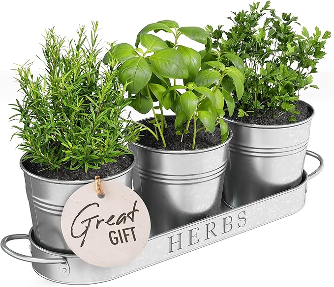 Barnyard Designs Indoor Herb Garden Planter Set with Tray, Metal Windowsill Plant Pots with Drainage for Outdoor or Indoor Plants, Set/3 (Galvanized)