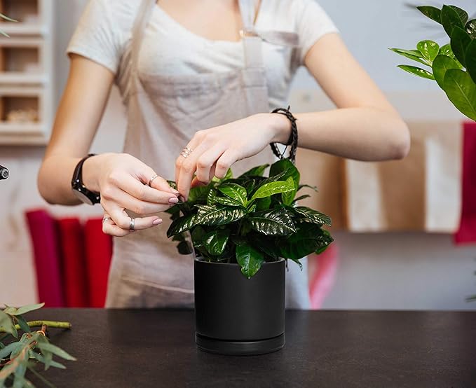 D'vine Dev Set of 2 Plants Pot, 4.6 Inch Ceramic Planter Pot for Plants with Drainage Hole and Saucer, Black, 94-V-B-2