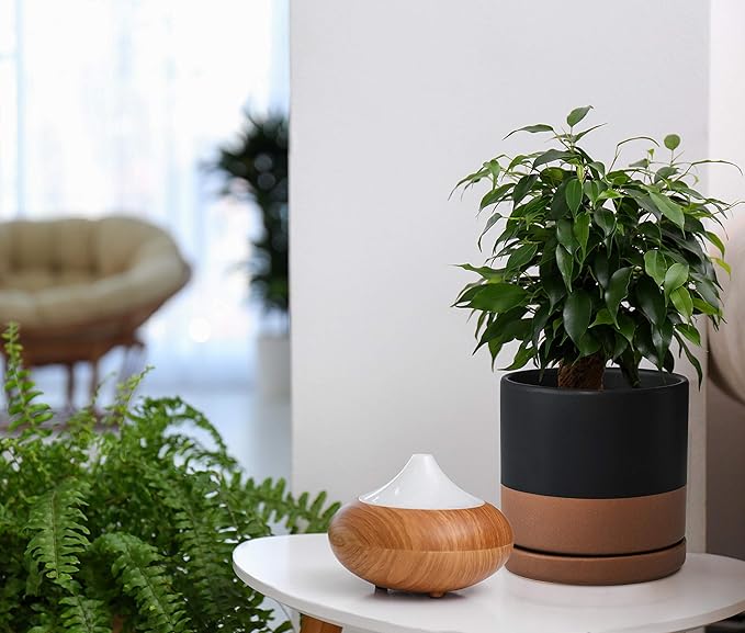 D'vine Dev Set of 2 Plants Pots, 8 Inch Ceramic Planter Pot for Plants with Drainage Hole and Saucer, Black/Speckled Tan, 94-V-D-7