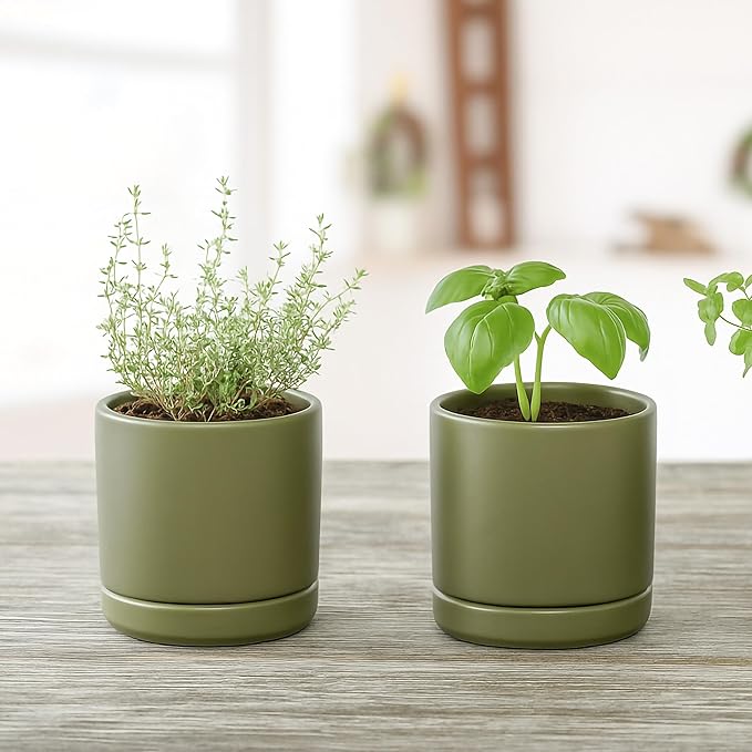 D'vine Dev 3.5 Inch Ceramic Planter Pot with Drainage Hole and Saucer, Indoor Cylinder Round Planter Pot, Olive, 94-O-A-J