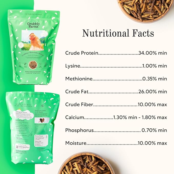Grubblies - Black Soldier Fly Larvae for Chickens - Chicken Treats Grown in The US and Canada - for Strong Eggshells and Healthy Feathers - Grubblies Hometown Harvest 1LB