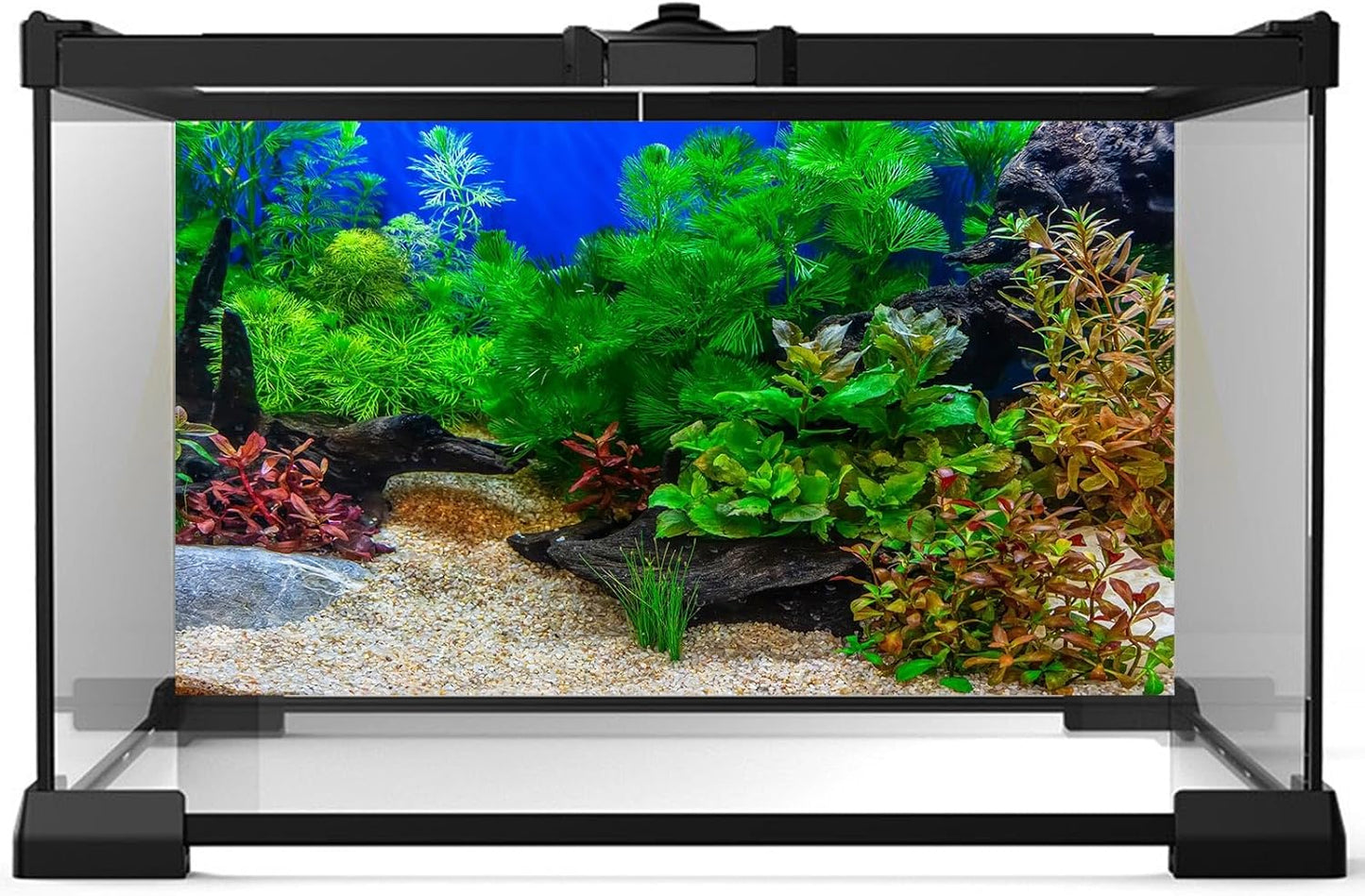 Aquarium Background Underwater Grass Leaves with Pebble Aquarium Backdrop Vivid and Fresh Green Aquatic Plant Stone River Bed and Lake Fish Deadwood Tank Background Decor Vinyl 48x20in