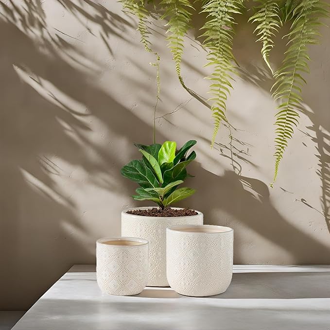 Docrin Ceramic Plant Pots Indoor：6.5+5.3+4 Inch Planters with Drainage Holes for Home /Office - Set of 3 / White